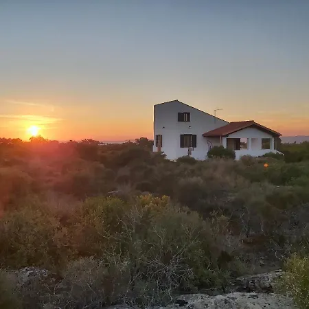 Vista Mare Immersa Nel *