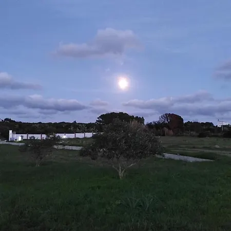 Vista Mare Immersa Nel Prázdninový dům