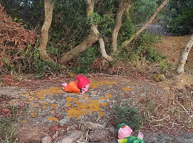 Villetta Vista Mare Immersa Nel Verde * Calasetta